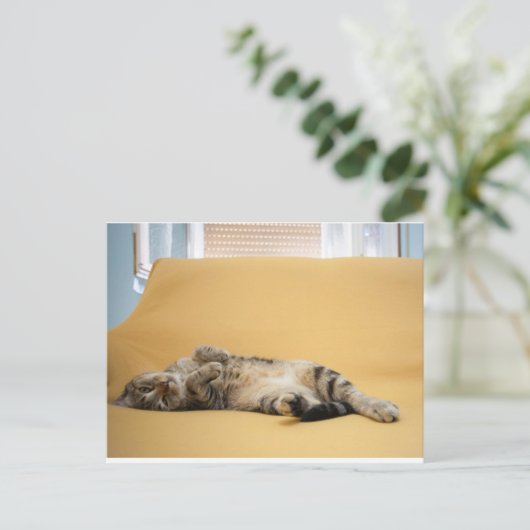 Kitty Postcard Postkarte (Stehend Vorderseite)