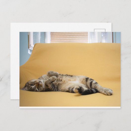 Kitty Postcard Postkarte (Vorne/Hinten)