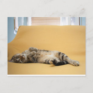 Kitty Postcard Postkarte