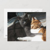 Kitty Postcard Postkarte (Vorne/Hinten)