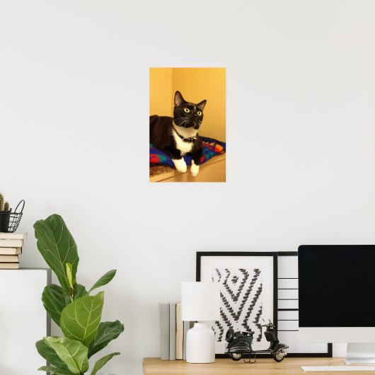 Kitty Poster (Heimbüro)