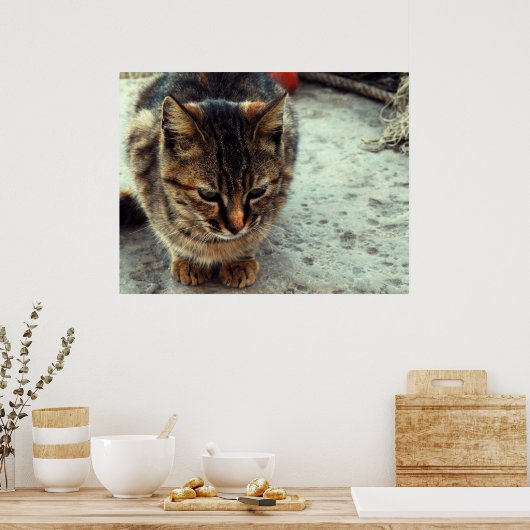 Kitty Poster (Küche)