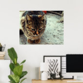 Kitty Poster (Heimbüro)