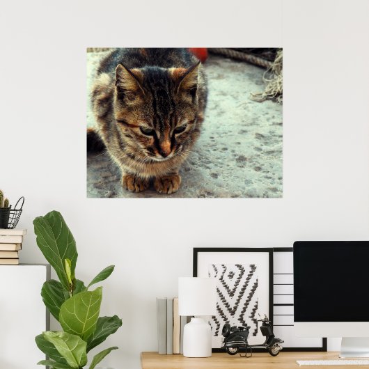 Kitty Poster (Heimbüro)