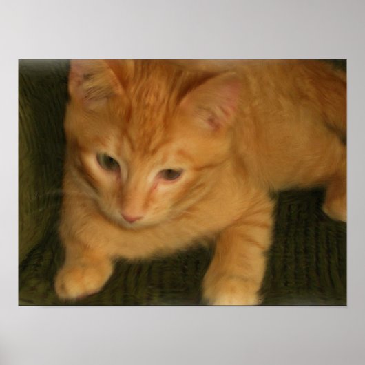 Kitty Poster (Vorne)