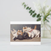 Kitty Postkarte (Stehend Vorderseite)