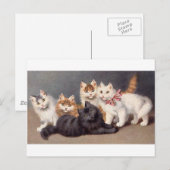 Kitty Postkarte (Vorne/Hinten)