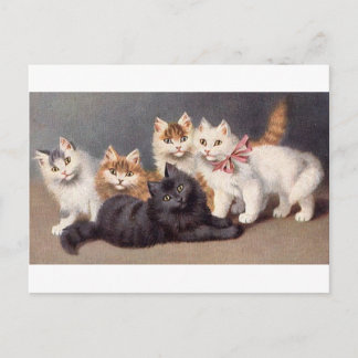 Kitty Postkarte