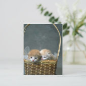 Kitty Postkarte (Stehend Vorderseite)