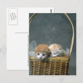 Kitty Postkarte (Vorne/Hinten)