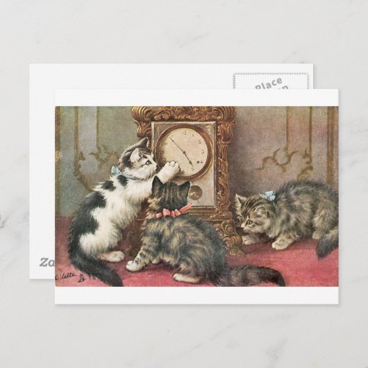 Kitty Postkarte (Vorne/Hinten)
