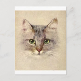 Kitty Postkarte