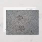 Kitty Prints Postkarte (Vorne/Hinten)