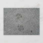 Kitty Prints Postkarte (Vorderseite)