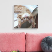 Kitty Relaxing Leinwanddruck (Insitu (Wohnzimmer))