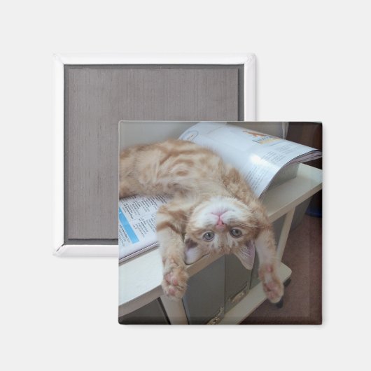 Kitty Relaxing Magnet (Vorderseite/Rückseite)