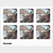 Kitty Relaxing Quadratischer Aufkleber (Blatt)