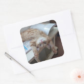 Kitty Relaxing Quadratischer Aufkleber (Umschlag)