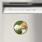 Kitty riecht die Blume Magnet (In Situ (Geschirrspüler))