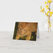 Kitty "Sayin' HI!" Grußkarte Karte (Gelbe Blume)