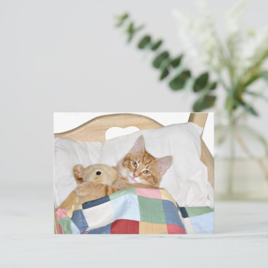 Kitty schlafen mit Teddy Postkarte (Stehend Vorderseite)
