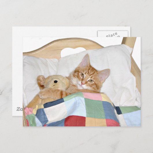 Kitty schlafen mit Teddy Postkarte (Vorne/Hinten)