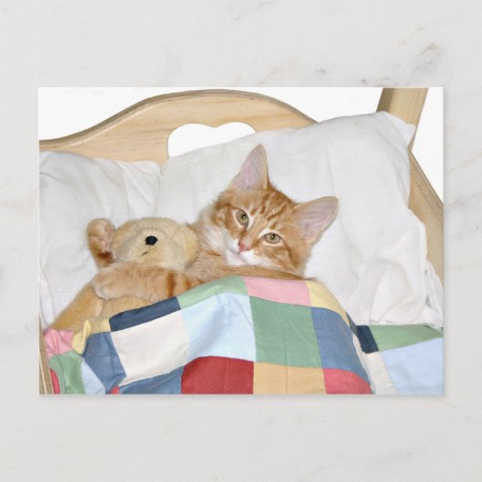 Kitty schlafen mit Teddy Postkarte (Vorderseite)