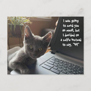 KITTY SELFIE HELLO POSTKARTE