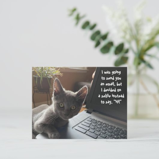 KITTY SELFIE HELLO POSTKARTE (Stehend Vorderseite)