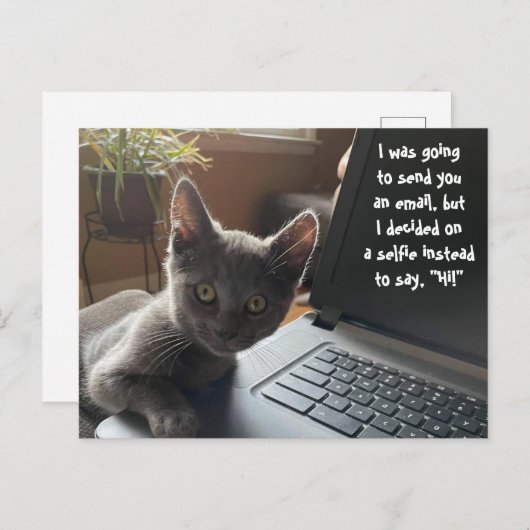 KITTY SELFIE HELLO POSTKARTE (Vorne/Hinten)