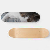 Kitty Skateboard (Horizontal)