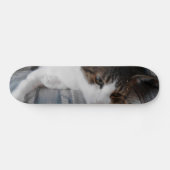 Kitty Skateboard (Horizontal)