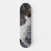 Kitty Skateboard (Vorderseite)