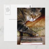Kitty Sleep Book Postcard Postkarte (Vorne/Hinten)