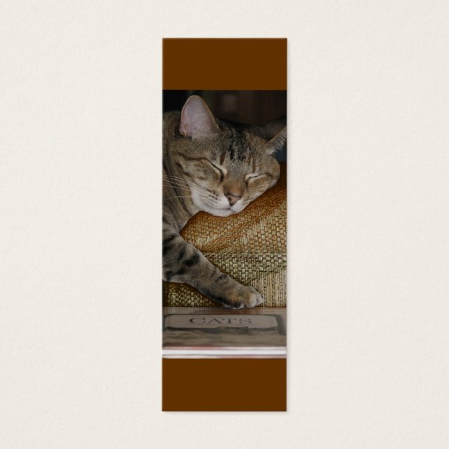 Kitty Sleep Visitenkarte (Vorderseite)