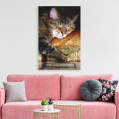 Kitty Sleepy Book Leinwanddruck (Insitu (Wohnzimmer))