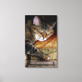 Kitty Sleepy Book Leinwanddruck