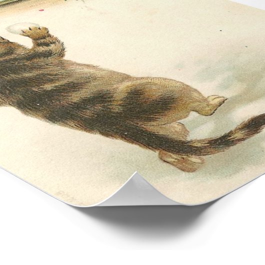 Kitty Snowball Fight Poster (Ecke)