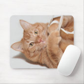 Kitty spielt mousepad (Mit Mouse)