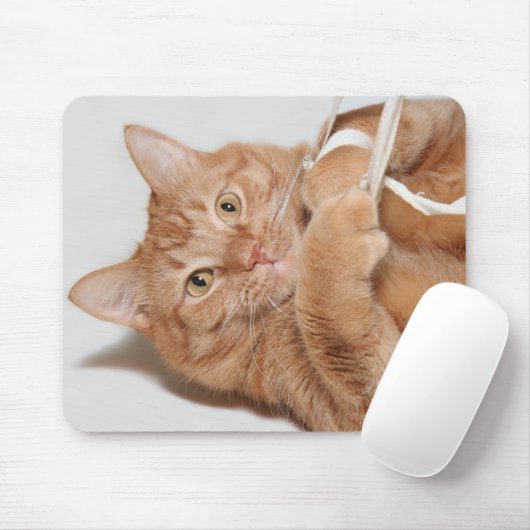 Kitty spielt mousepad (Mit Mouse)