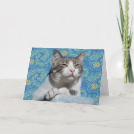 Kitty Starry Night Notecard Ankündigung