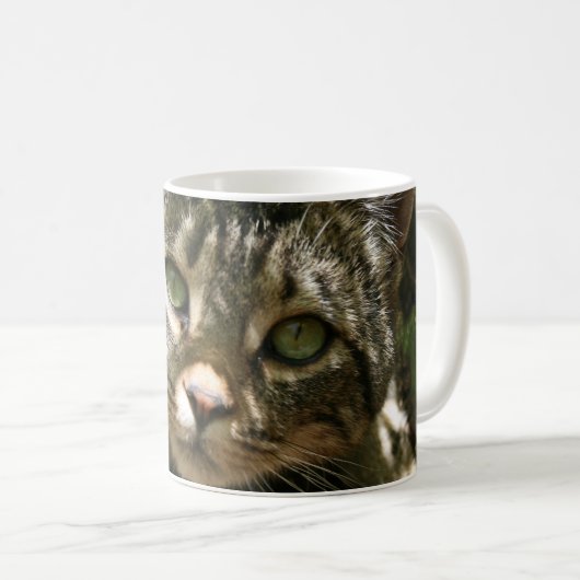 Kitty Tasse (VorderseiteRechts)