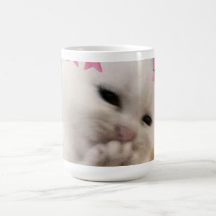 Kitty Tasse