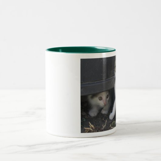 Kitty-Tasse Zweifarbige Tasse (Mittel)