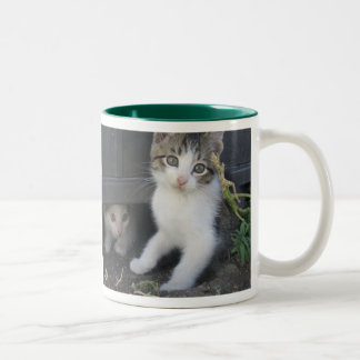 Kitty-Tasse Zweifarbige Tasse