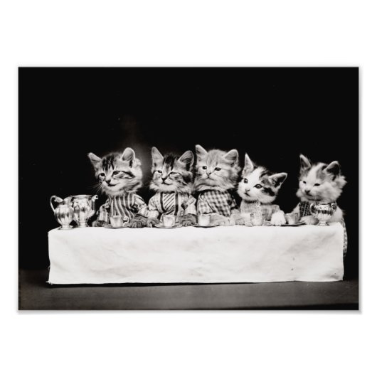 Kitty Tea Party Fotodruck (Vorne)