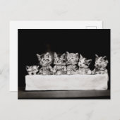 Kitty Tea Party Postkarte (Vorne/Hinten)