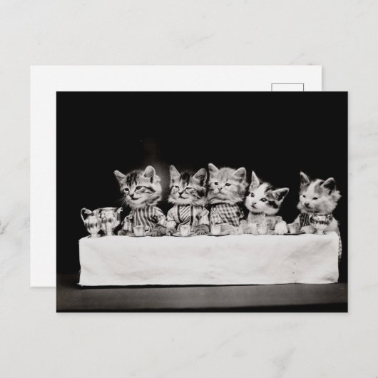 Kitty Tea Party Postkarte (Vorne/Hinten)
