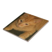 Kitty Tile Fliese (Seite)