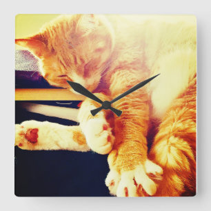 Kitty Time Quadratische Wanduhr